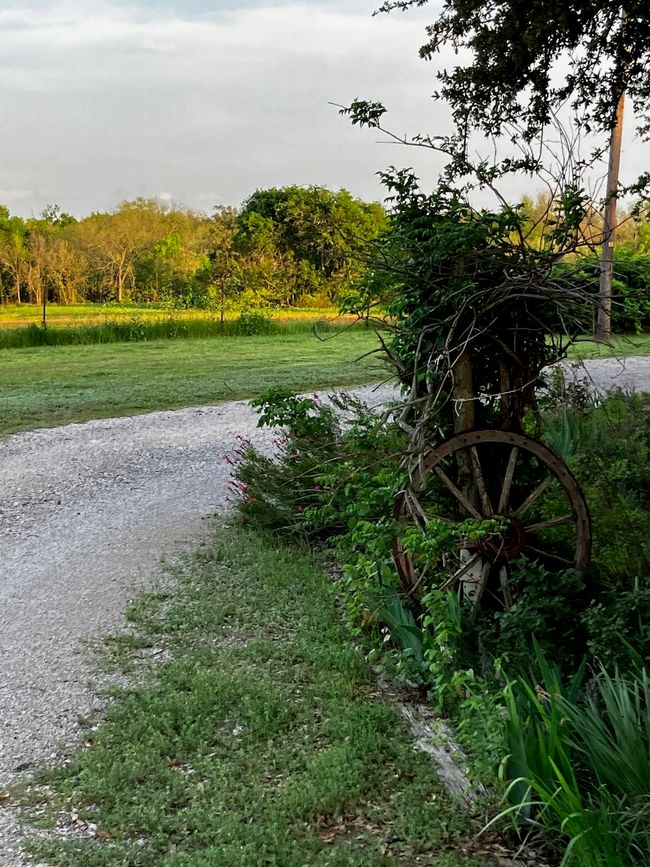 3901 S Nolan River Rd, Home with 3 bedrooms, 2 bathrooms and null parking in Cleburne TX | Image 6