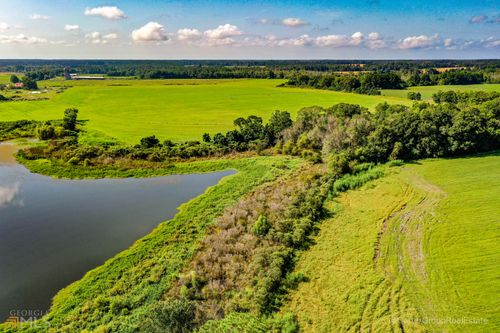 0 Russell Rd, Bristol, GA, 31518 | Card Image