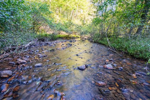 000 Cox Store Rd Sw, Floyd, VA, 24091 | Card Image