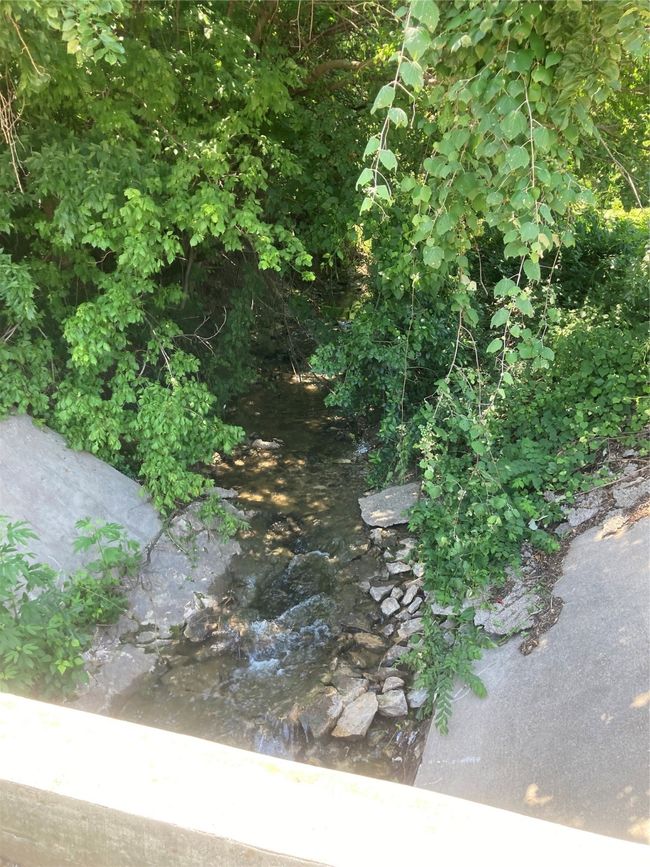 view from sidewalk into culvert running water after 3 inches of rain | Image 17