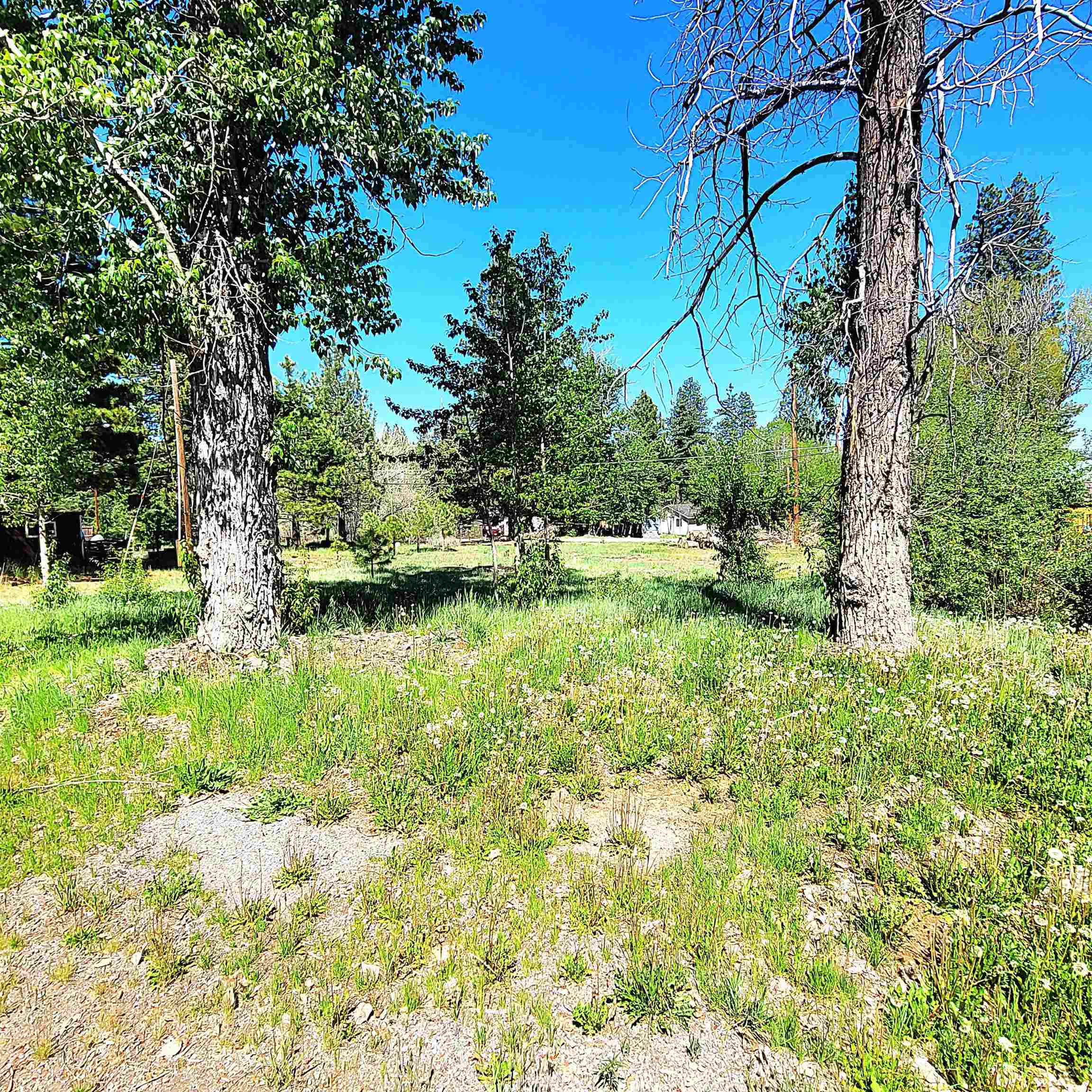 Land in Westwood 3
