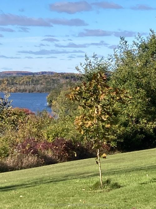 140 Grandview Dr, Roseneath, ON, K0K2X0 | Card Image