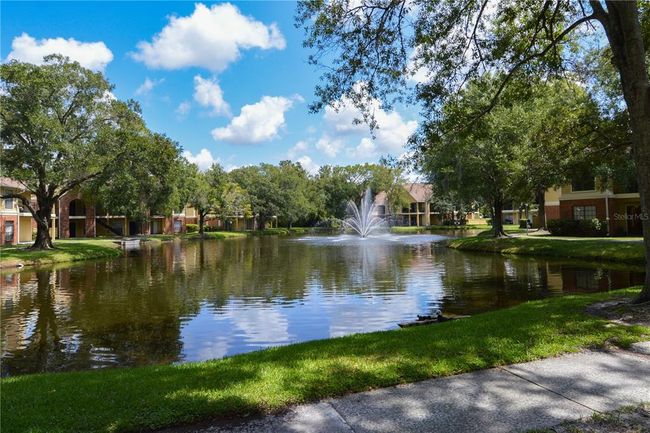 UNIT-202 - 8613 Mallard Reserve Dr, Condo with 2 bedrooms, 2 bathrooms and null parking in TAMPA FL | Image 89