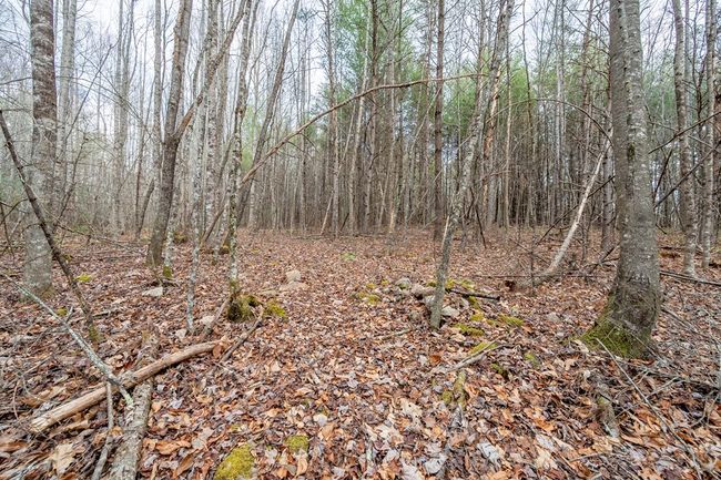000 Miriam Road, Home with 0 bedrooms, 0 bathrooms and null parking in Dugspur VA | Image 18