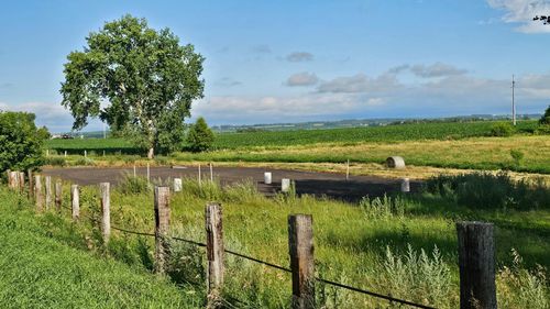 25318 County Highway 13, Audubon, MN, 56511-9517 | Card Image