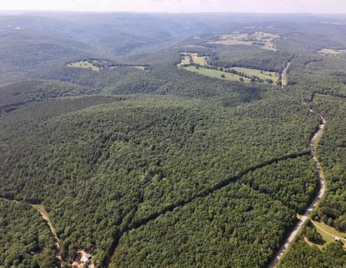 2475 Holly Mountain Road, Clinton, AR, 72031 | Card Image