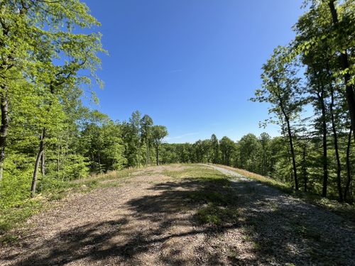 1063 Paiute Trl, Pegram, TN, 37143-4101 | Card Image