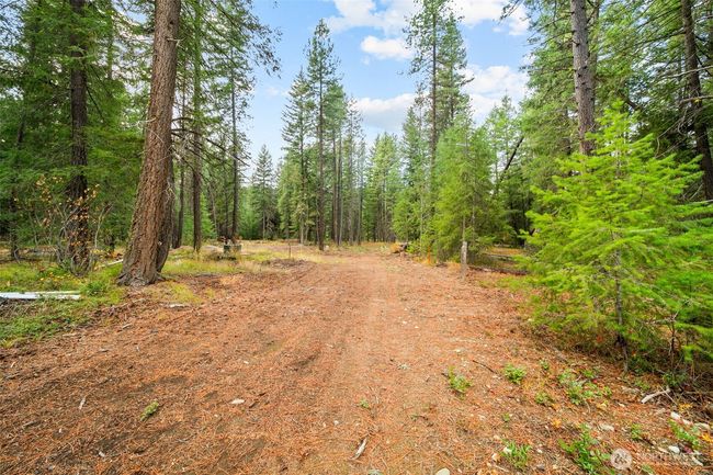 0 S Shugart Flats Rd, Home with 0 bedrooms, 0 bathrooms and null parking in Leavenworth WA | Image 4