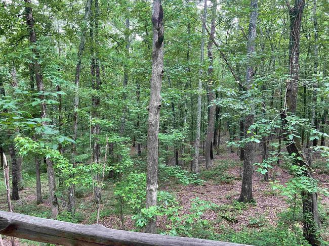1602 Lake Cliff Rd, House other with 3 bedrooms, 2 bathrooms and null parking in Higden AR | Image 33