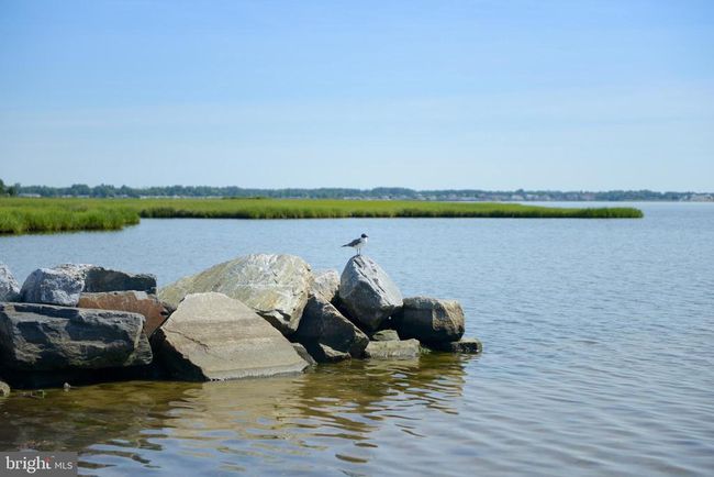 31569 Rachel Ave, House other with 5 bedrooms, 3 bathrooms and null parking in LEWES DE | Image 71