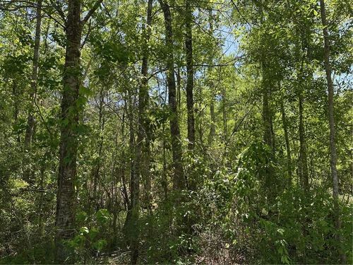 0 Oak Alley Dr, Pearl River, LA, 70452 | Card Image