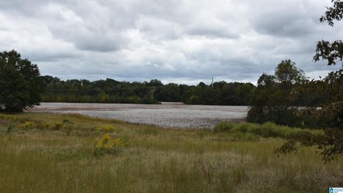 1-0 Tallaseehatchee Rd, ALPINE, AL, 35014 | Card Image