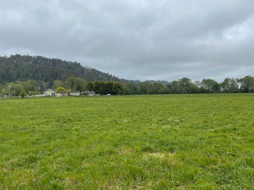1561 Grizzly Bluff Rd, Ferndale, CA, 95536-9703 | Card Image