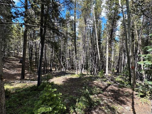 00 S Spring Gulch Rd, Idaho Springs, CO, 80452 | Card Image