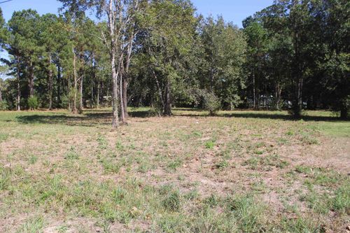 715 Dayna Ln, Sour Lake, TX, 77659-8203 | Card Image