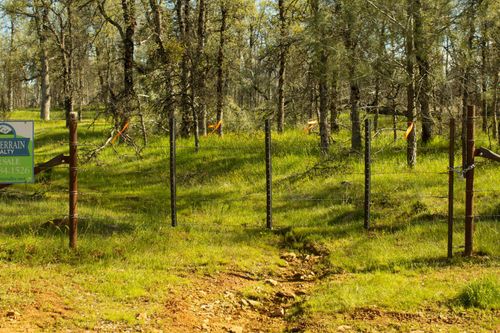 5743 Schilling Rd, Coulterville, CA, 95311-9588 | Card Image