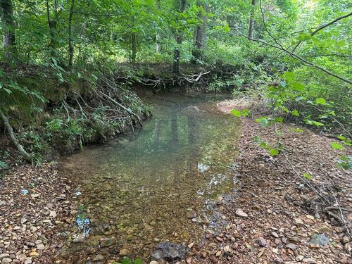 11 Old Highway 18, Tennessee Ridge, TN, 37178 | Card Image