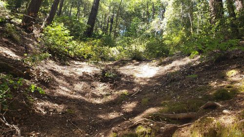 18190 Old Monte Rio Rd, Guerneville, CA, 95446-9686 | Card Image