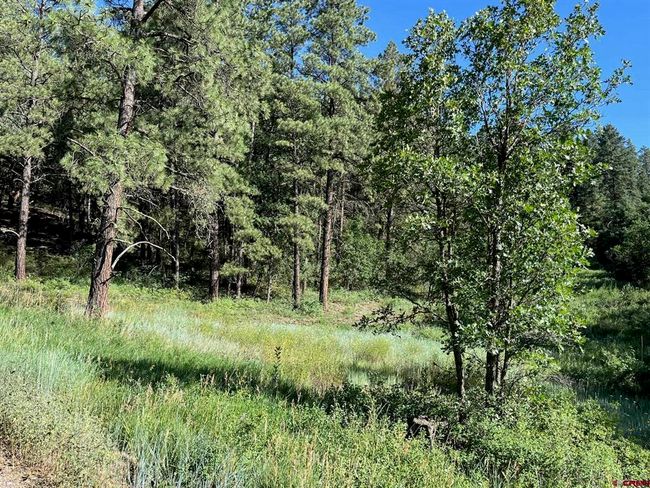 916 Easy St, Home with 0 bedrooms, 0 bathrooms and null parking in Pagosa Springs CO | Image 7