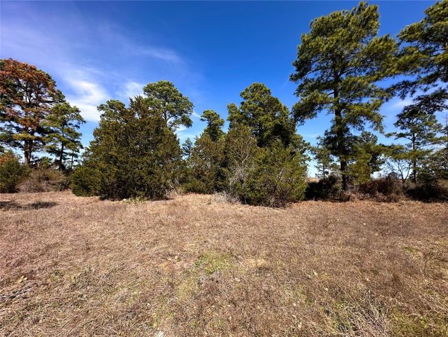 View of landscape | Image 5