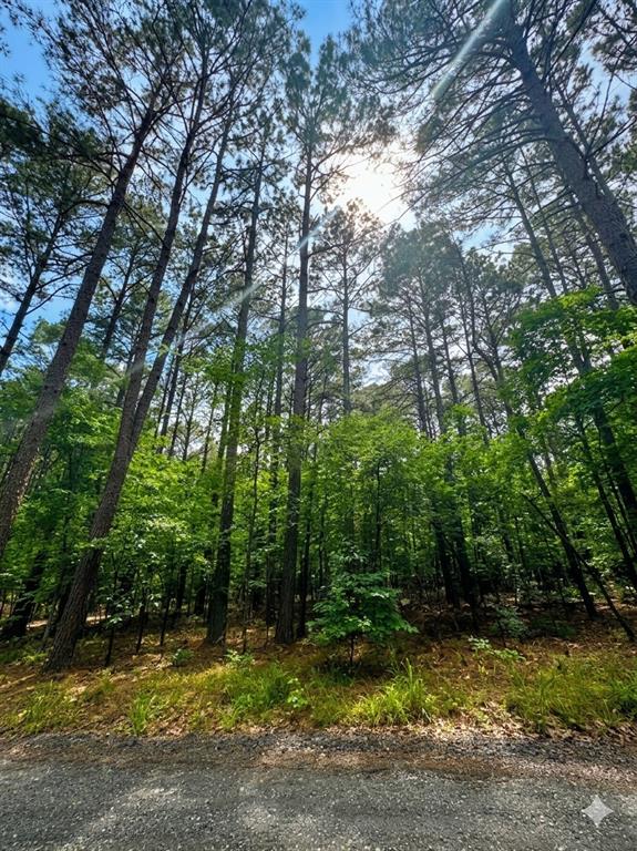 Land in Broken Bow 2