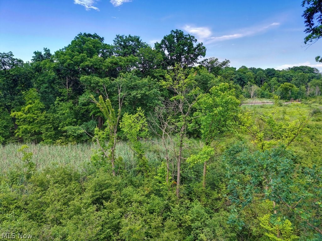 Land in Streetsboro 5