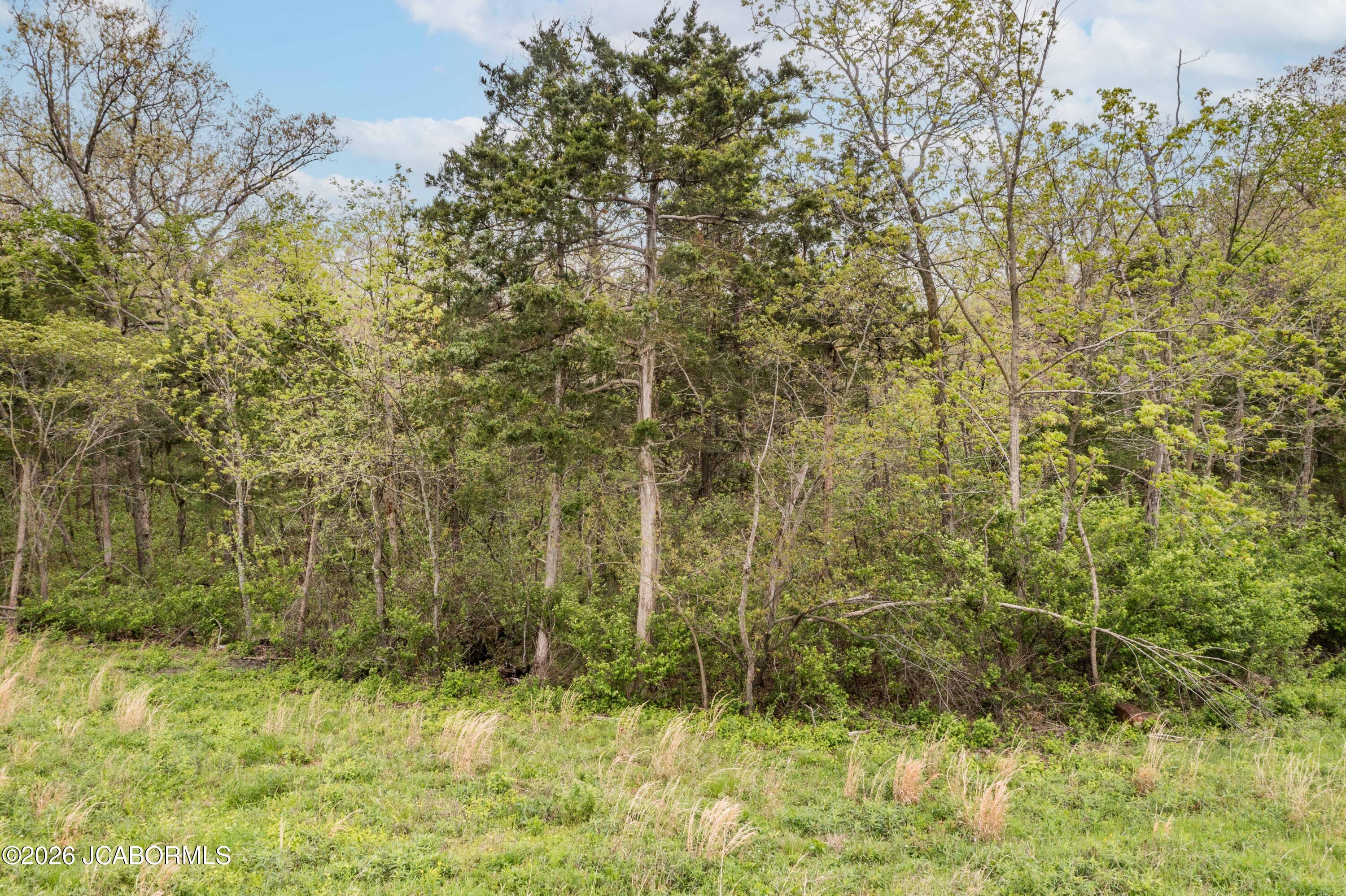 Land in Lohman 3