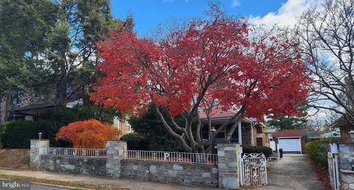 6219 N 11th St, PHILADELPHIA, PA, 19141-3301 | Card Image