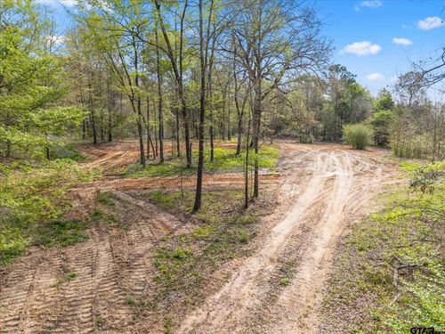 TBD Woodchuck Rd, Pittsburg, TX, 75686 | Card Image