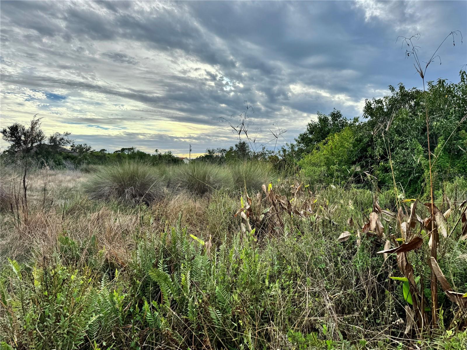 Land in PORT CHARLOTTE 3