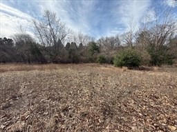 Land in Marlborough 3
