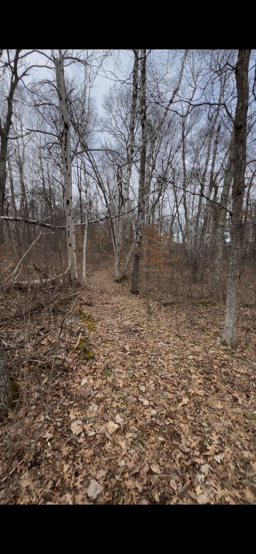 TBD Big Pine Trl, Crosslake, MN, 56442 | Card Image