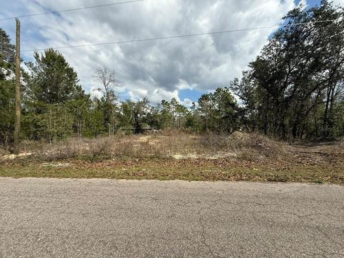 19 Fisher Lane Trak, OCKLAWAHA, FL, 32179-5521 | Card Image