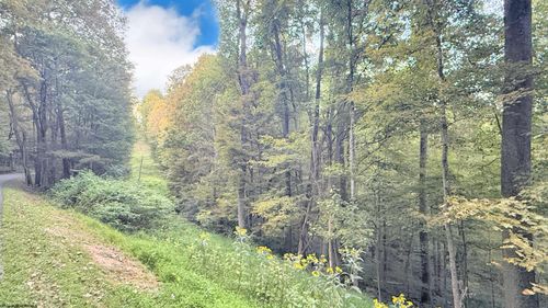 Lot 1 Flag Run Rd, Grafton, WV, 26354-7226 | Card Image