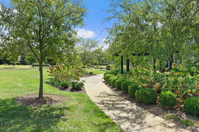 Or enjoy a stroll along one of the many walking paths. | Image 27
