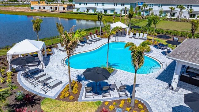 The Townhomes at Azario Lakewood Ranch Community Amenities | Image 20