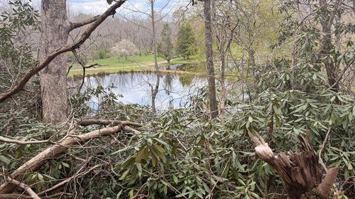 #9 Mill Creek Ln, Hayesville, NC, 28904-8101 | Card Image