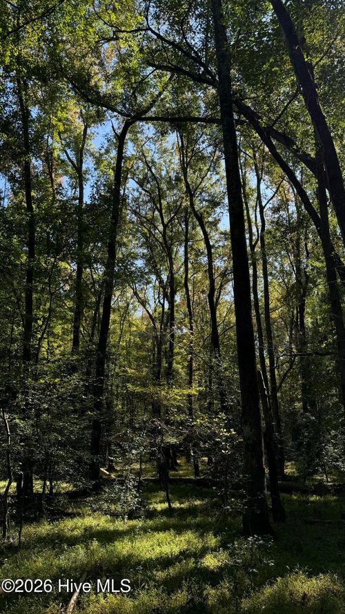 0 Union Church Road, Cameron, NC, 28326 | Card Image