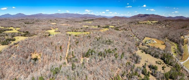 0 Old Cifax Rd, Home with 0 bedrooms, 0 bathrooms and null parking in Goode VA | Image 4