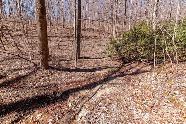 965 Wolf Pen Rd, Home with 0 bedrooms, 0 bathrooms and null parking in Old Fort NC | Image 18