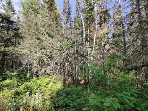 XXX Gauthier Rd, Hovland, MN, 55606 | Card Image