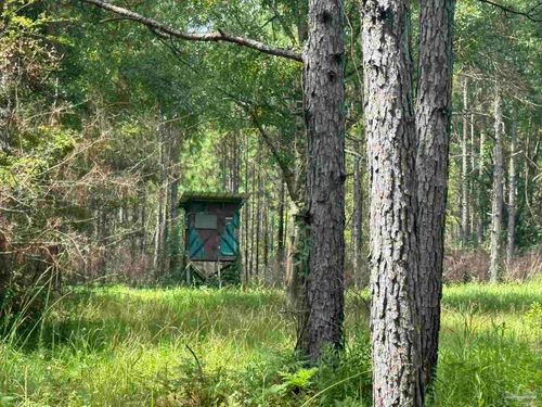 0 Nokomis Rd, Mc David, FL, 32568 | Card Image