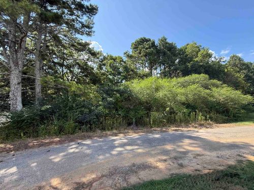 0 County Road 1038, Vinemont, AL, 35179 | Card Image