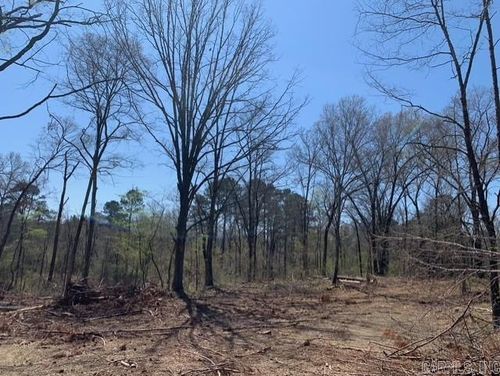 Tract 1 11395 Hwy 84, Bismarck, AR, 71929 | Card Image