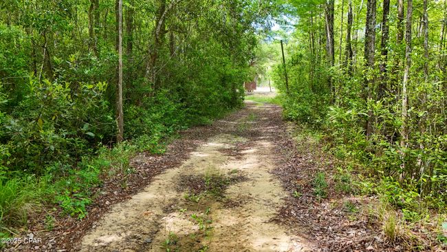3396 Varsey Ln, House other with 5 bedrooms, 3 bathrooms and null parking in Marianna FL | Image 46