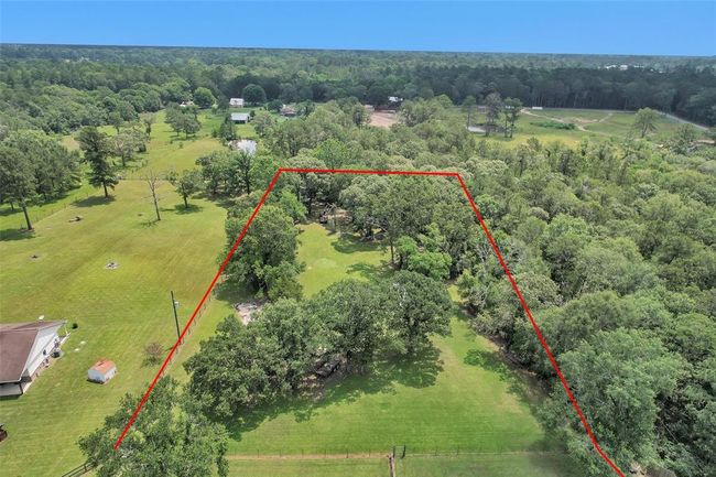 Gorgeous trees on the acreage. | Image 50