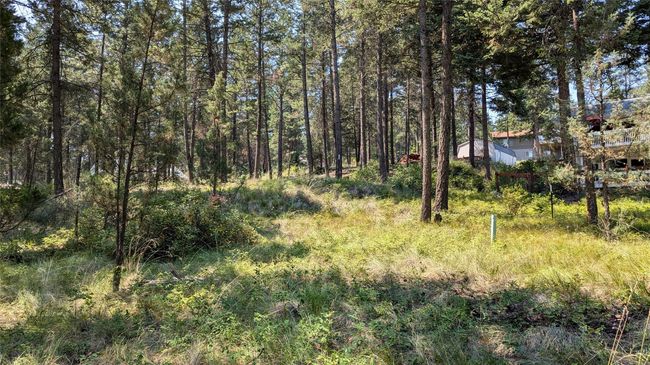 GORGEOUS FORESTED SETTING | Image 13