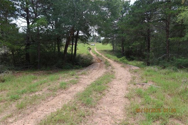 1584 Dungens Mill Rd, Home with 0 bedrooms, 0 bathrooms and null parking in Columbus TX | Image 16