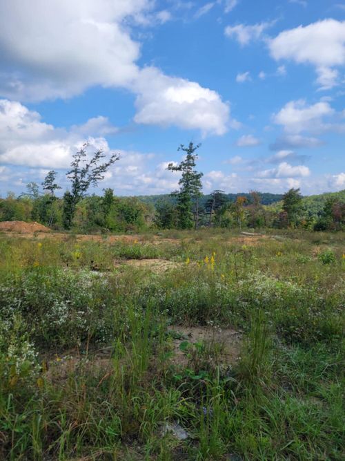 0000 Skull Bone Tower Rd, Stearns, KY, 42647 | Card Image