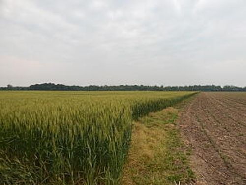 6200 Yankee Rd, Ottawa Lake, MI, 49267-9522 | Card Image